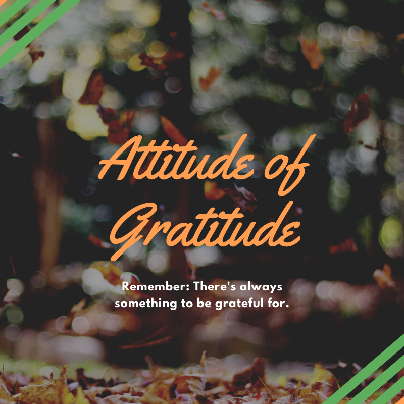 An Attitude of Gratitude on Thanksgiving